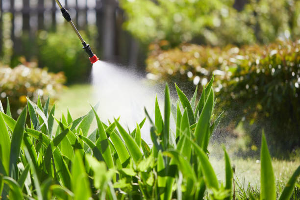 24/7 Emergency Wasp Removal experts in Cassopolis, MI