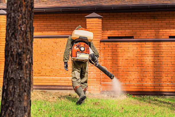Top rated local Wasp Removal specialists in Cassopolis, MI